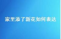 家里添了新花如何表达40句汇总