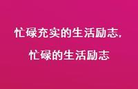 忙碌的生活励志(100句)
