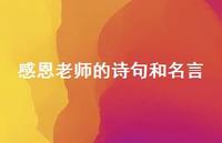 感恩老师的诗句和名言51句汇总