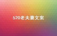 520老夫妻文案【100句精选短句合集】