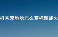 抖音双胞胎怎么写标题能火【100句精选短句合集】