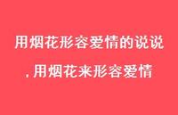 用烟花来形容爱情(100句)