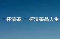 一杯清茶品人生【100句文案精选】