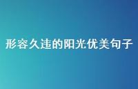 形容久违的阳光优美句子43句汇总