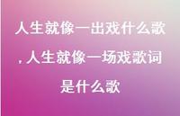 人生就像一场戏歌词是什么歌(78句)