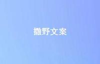 撒野文案【100句精选短句合集】