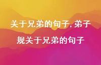 弟子规关于兄弟的句子【100句文案】