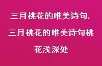 三月桃花的唯美诗句桃花浅深处【100句文案精选】 三月桃花的唯美诗句桃花浅深处【100句文案精选】