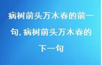 病树前头万木春的下一句【100句文案精选】 病树前头万木春的下一句【100句文案精选】