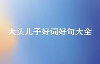 大头儿子好词好句大全【100句精选短句合集】