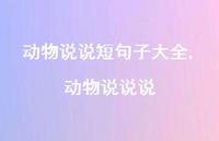 动物说说说(100句) 动物说说说(100句)