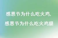 感恩节为什么吃火鸡腿【精品文案100句】