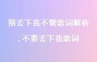 不要丢下我歌词(100句) 不要丢下我歌词(100句)