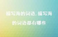 描写海的词语都有哪些【100句文案精选】 描写海的词语都有哪些【100句文案精选】
