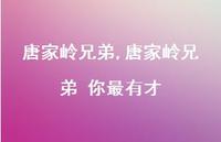 唐家岭兄弟 你最有才【100句文案精选】