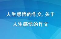 关于人生感悟的作文【100句文案精选】