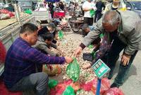 91a7d0c0-7b52-4e1c-a209-a2a0b24f177c_1.jpg-s 农村大集上火爆的小生意,牡蛎5毛钱一斤,“焗油”稀罕物5元4只