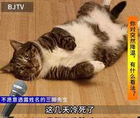 91ab3508-5cfb-431d-a53c-59048216c5d4_2.jpg-s 真人实测|要是有人早一点告诉我这些就好了···