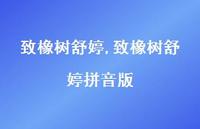 致橡树舒婷拼音版【精品文案100句】
