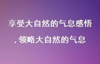 领略大自然的气息【100句文案】
