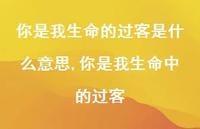 你是我生命中的过客【精选100句】 你是我生命中的过客【精选100句】