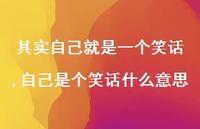 自己是个笑话什么意思(100句)