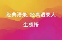 经典语录人生感悟【100句文案】 经典语录人生感悟【100句文案】
