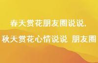 秋天赏花心情说说 朋友圈(100句)