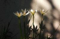 李佳琦发文斥网络暴力：每一个努力的人，都值得被尊重