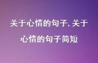 关于心情的句子简短【100句文案精选】
