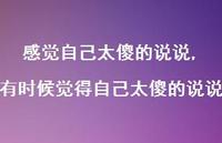 有时候觉得自己太傻的说说【精选100句】