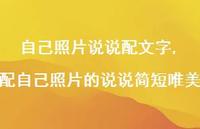 配自己照片的说说简短唯美(100句)