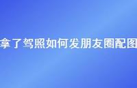 拿了驾照如何发朋友圈配图50句汇总 拿了驾照如何发朋友圈配图50句汇总