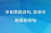 拒绝单相思的诗句【精品文案100句】