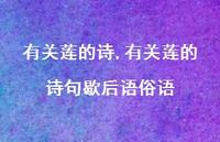 有关莲的诗句歇后语俗语【100句文案精选】 有关莲的诗句歇后语俗语【100句文案精选】