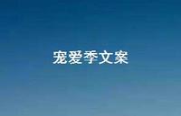 宠爱季文案【100句精选短句合集】