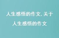 关于人生感悟的作文【精品文案100句】