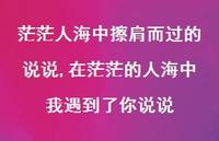 在茫茫的人海中我遇到了你说说(100句) 在茫茫的人海中我遇到了你说说(100句)