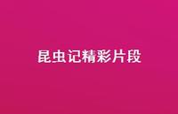 昆虫记精彩片段66句汇总 昆虫记精彩片段66句汇总
