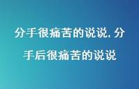 分手后很痛苦的说说(100句)