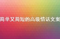简单又简短的高级情话文案71句汇总 简单又简短的高级情话文案71句汇总