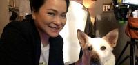 她是吴京前女友,吴京最落魄时甩开他,转身嫁入豪门却被老公抛弃 她是吴京前女友,吴京最落魄时甩开他,转身嫁入豪门却被老公抛弃