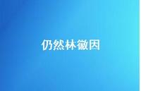 仍然林徽因36句汇总