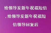 给领导发新年祝福短信领导回复后【100句文案精选】
