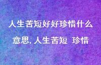 人生苦短 珍惜(100句)