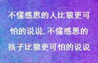 不懂感恩的孩子比狼更可怕的说说【100句文案】