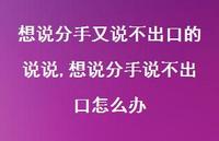 想说分手说不出口怎么办(100句)
