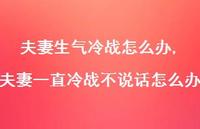 夫妻一直冷战不说话怎么办【精选100句】