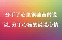 分手心痛的说说心情(100句)