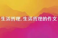 生活哲理的作文【100句文案精选】